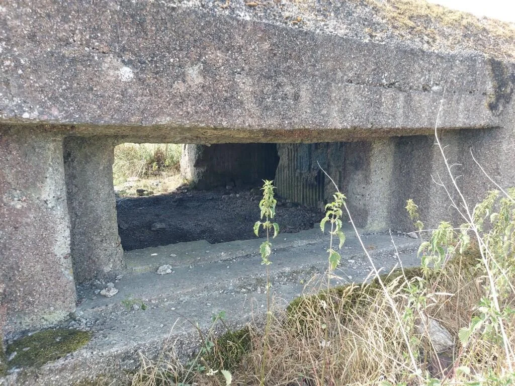 Brits worried about the UK's defence spending can snap up their own WWII concrete bunker for £55,000 - and some reckon they "might need it very soon.