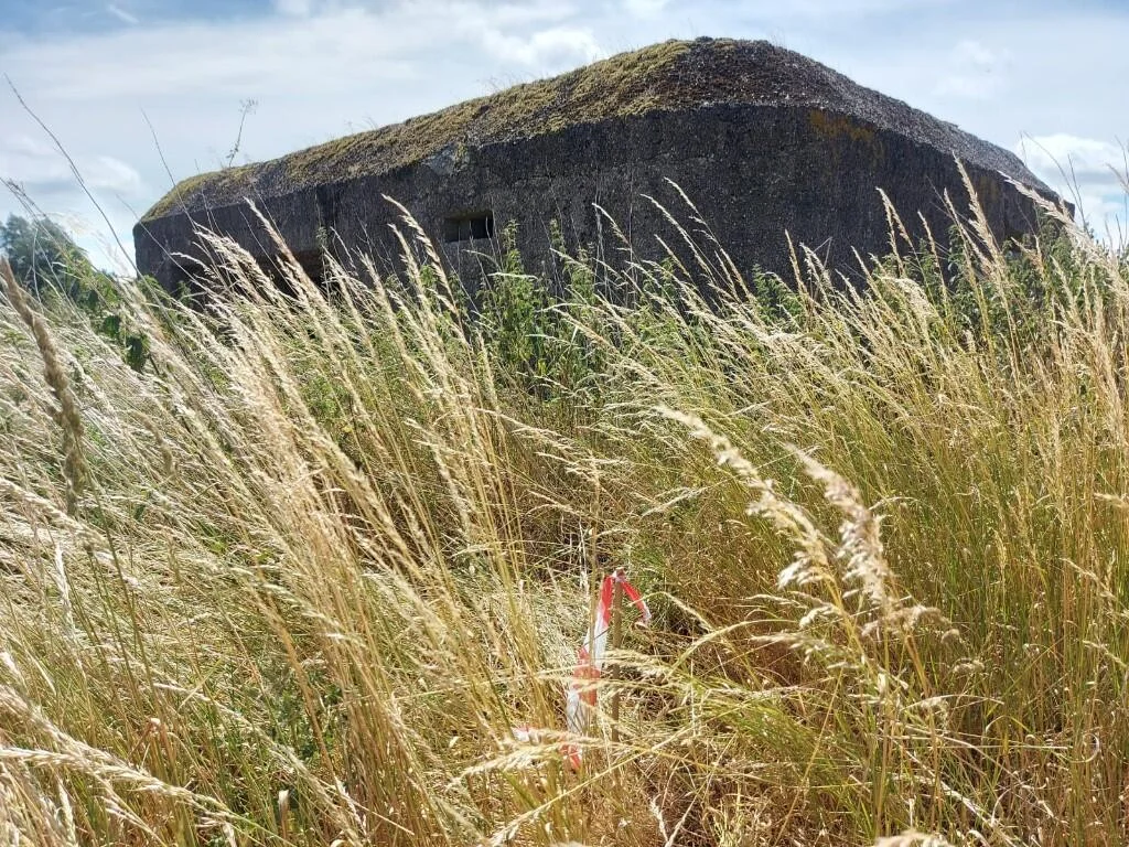 Brits worried about the UK's defence spending can snap up their own WWII concrete bunker for £55,000 - and some reckon they "might need it very soon.
