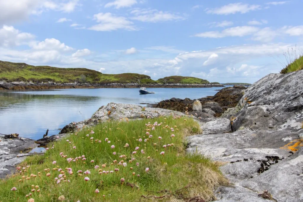 Historic Scottish island where Bonnie Prince Charlie sought refuge after Battle of Culloden now for sale. 970 acres with sandy beaches, eagles and fishing - under £1 million.