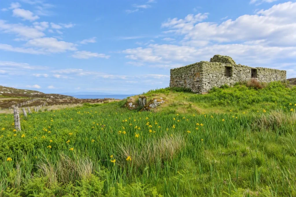Historic Scottish island where Bonnie Prince Charlie sought refuge after Battle of Culloden now for sale. 970 acres with sandy beaches, eagles and fishing - under £1 million.