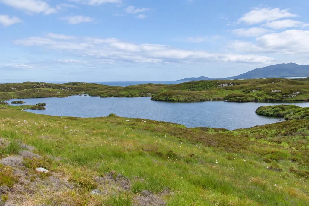 Historic Scottish island where Bonnie Prince Charlie sought refuge after Battle of Culloden now for sale. 970 acres with sandy beaches, eagles and fishing - under £1 million.